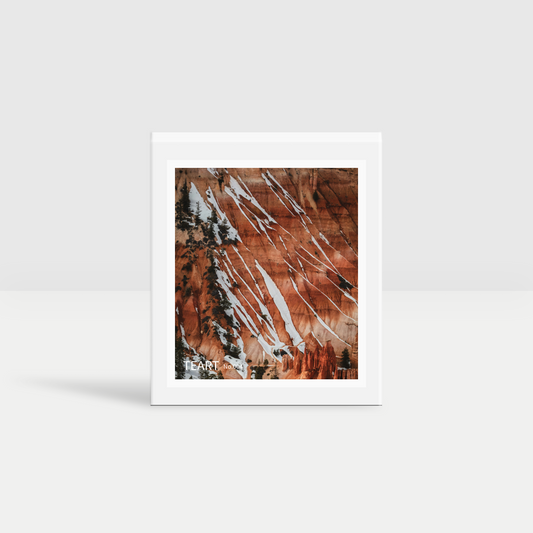 #04. 山のほうじ茶